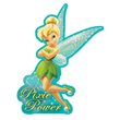 Disney Fairies Tinker Bell Pixie Power Magnet